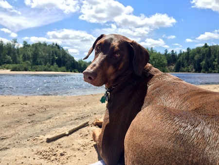 Beautiful day at the beachの素材