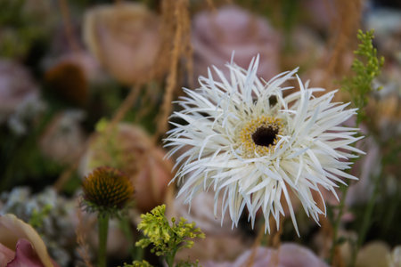 Wild flower background - defocused spring flowers on a sunny day.