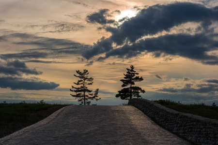 Pink sunset. Golden hour. cloudy sky and old brick road. Two trees on horizon.の写真素材