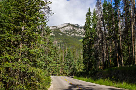 Mountain highway road. Forest. Summer time. Banff, Alberta, Canadaの写真素材
