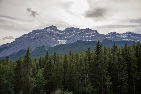 Mountains and forest in Banff National Park, Alberta, Canada