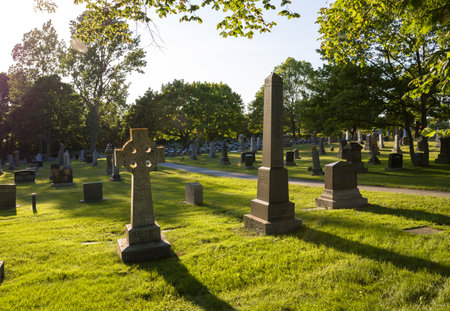 Old cemetery at sunset, with crosses in the foreground and green grass