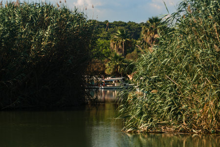 Beautiful view of the river, Luxor, Egypt.の写真素材