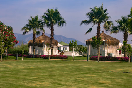 Beach umbrellas and gazebo with white curtains and a thatched roof stands in a colorful blooming garden with flowers, a green lawn and palm trees.の写真素材