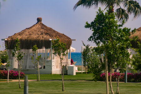 Beach umbrellas and gazebo with white curtains and a thatched roof stands in a colorful blooming garden with flowers, a green lawn and palm trees.の写真素材