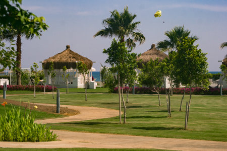 Tropical garden with palm trees. Beach umbrellas and gazebo with white curtains and a thatched roof stands in a colorful blooming garden. Unrecognizable placeの写真素材
