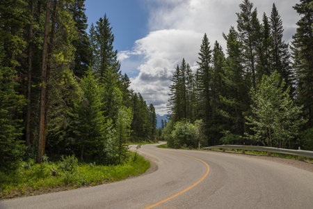 Scenic empty winding road along the forest in Banff National Park, Alberta, Canada in the morning. One of the most beautiful viewpoints. Scenic country road in the forest.の写真素材