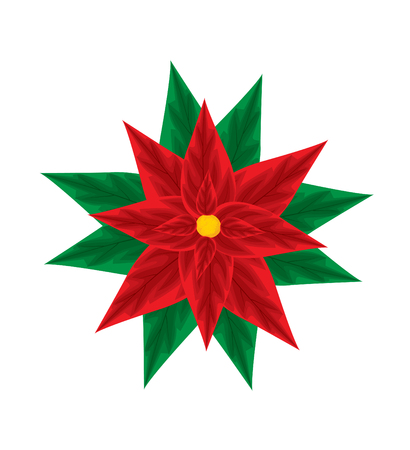 Christmas Poinsettiaのイラスト素材