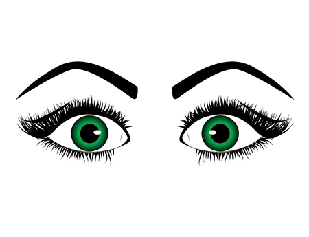 Woman eye. Vectorのイラスト素材