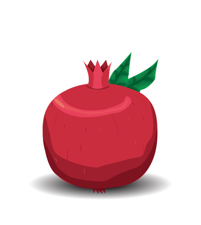 Pomegranate vectorのイラスト素材