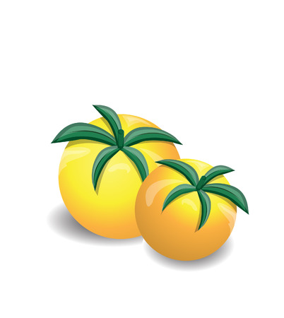 Yellow fresh  tomatoesのイラスト素材