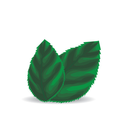 Green leavesのイラスト素材