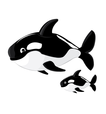 Killer whale cartoon vectorのイラスト素材