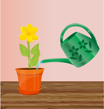 Watering  flower illustrationのイラスト素材