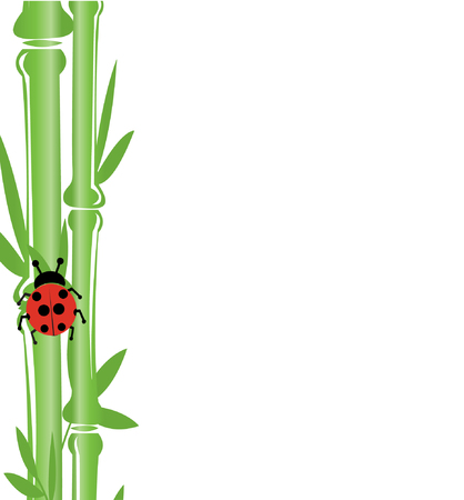 Bamboo backgroundのイラスト素材