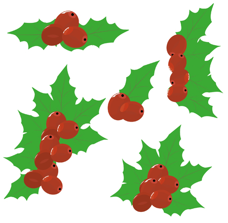 Christmas berry setのイラスト素材