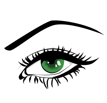 beautiful female green eyeのイラスト素材