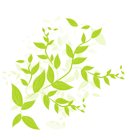 Green leafy backgroundのイラスト素材