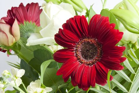 red and white british flowers bunch or bouquetの写真素材
