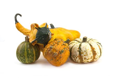 Photo of autumn gourds and pumpkins varied selectionの写真素材