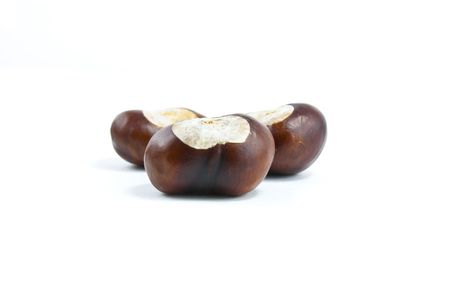 shot of 3 conkers on a white backgroundの写真素材