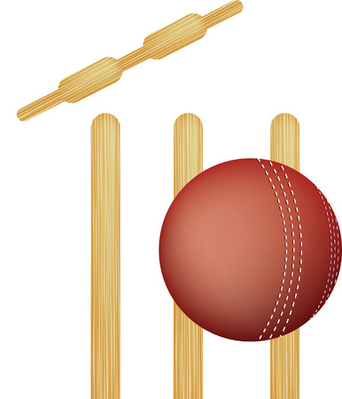 simple icon style illustration of cricket stumps and ballのイラスト素材