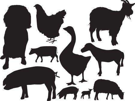 illustration of a selection of farm animals in silhouetteのイラスト素材