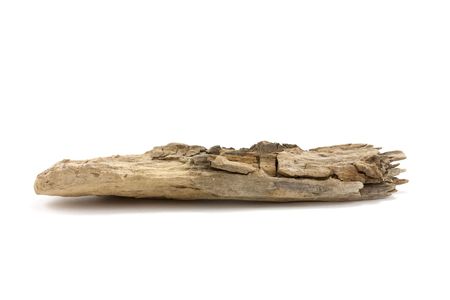 Macro close up of a piece of driftwood found on the beach in suffolk, ukの写真素材