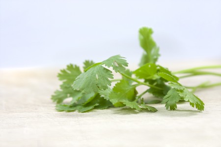 Studio macro shot of a piece of corianderの写真素材