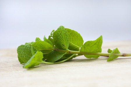Studio macro shot of a piece of mintの写真素材