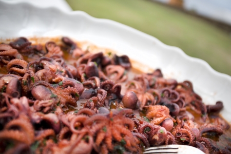 typical italian seafood salad (antipasti di mare), mini octopus