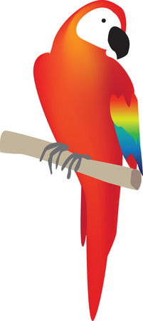 colour vector illustration on white backgroundのイラスト素材