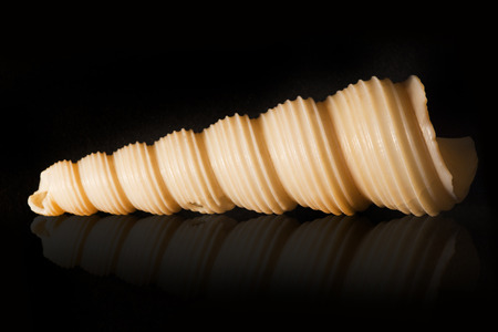 twisted spiral shell on black backgroundの写真素材