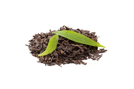 Pu-erh tea and fresh tea leavesの写真素材
