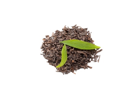 Pu-erh tea and fresh tea leavesの写真素材
