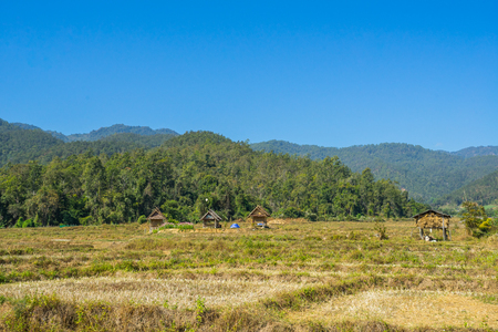 Rice field after harvested at Pai, Thailandの写真素材