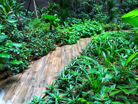 Wooden style walkway in the gardenの写真素材