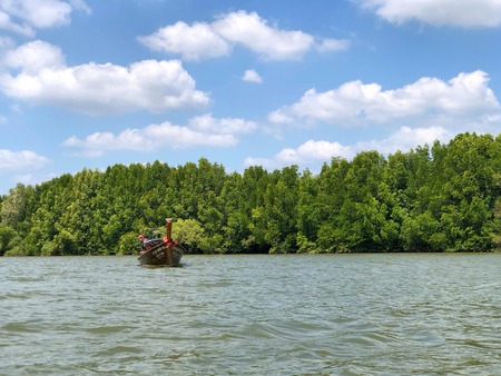 KRABI THAILAND 4 FEB 2018: Longtail boats with the mangrove trees along the turquoise green water in the stream at Krabi,Thailand.のeditorial素材