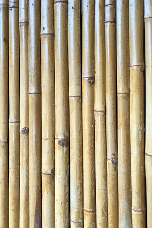 Bamboo wall as the background textureの写真素材