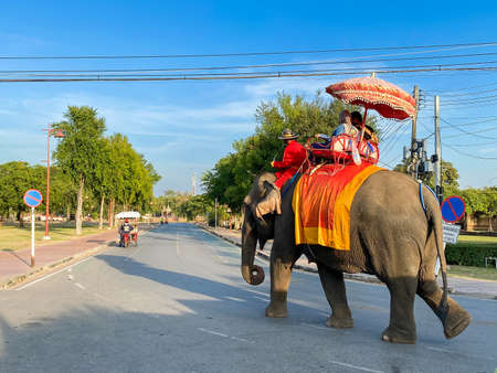 Ayutthaya Thailand - 6 December 2021: Tourists on a ride elephant tour of the ancient city at Wat Yai chaimongkol in Ayutthaya, Thailandのeditorial素材