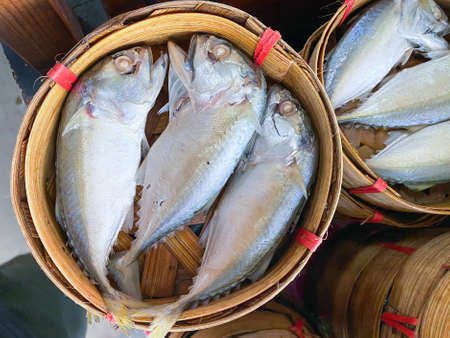 mackerel fish in the basket for saleの写真素材