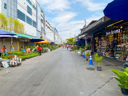 Bangkok Thailand - 3 Jan 2023: Many plant shop for sale at Chatuchak weekend marketのeditorial素材