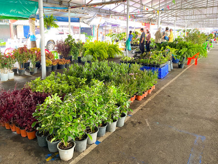 Bangkok Thailand - 3 Jan 2023: Many plant shop for sale at Chatuchak weekend marketのeditorial素材