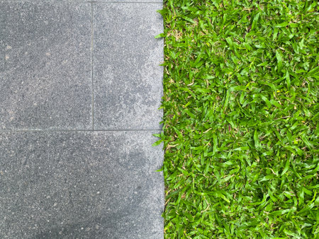 Grass growing on concrete wall as backgroundの写真素材