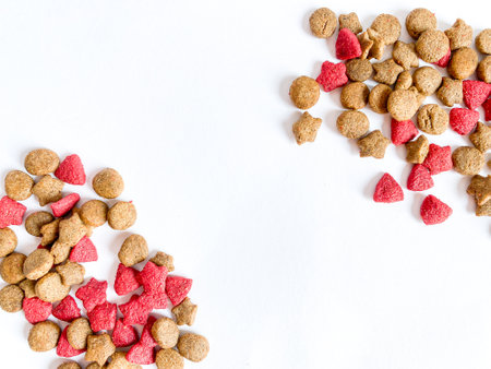 Dog food ready to eat on the white  background