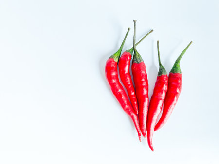 Fresh red chili and space for text on wooden backgroundの写真素材