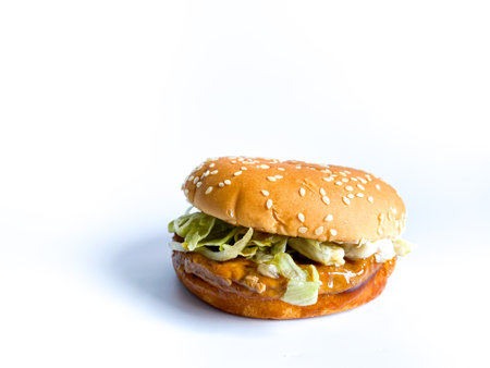 Pork hamburger ready to eat on white backgroundの写真素材