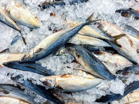 Fresh raw fish in the market for saleの写真素材