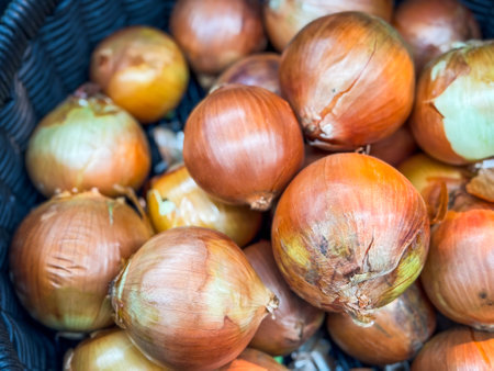 Fresh onions for sale in the marketの写真素材