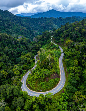 Road in the middle of the forest construction up to the mountainの素材